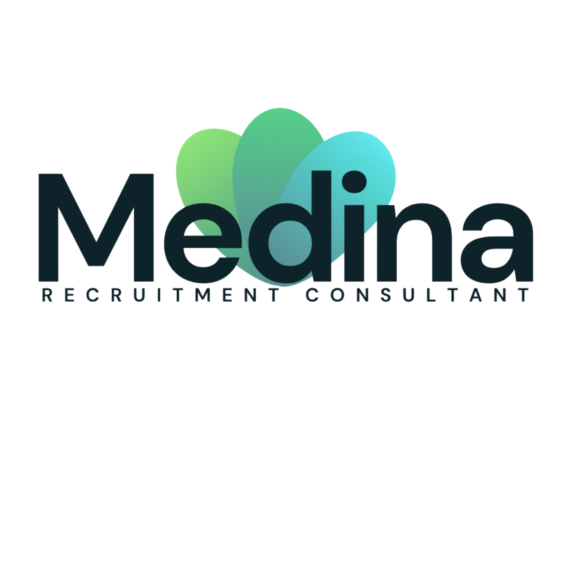 Medina Recruitment Consultant